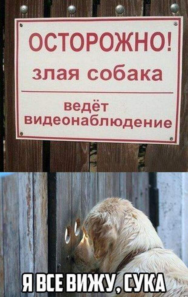 Забавные и позитивные картинки с надписями со смыслом (11 фото) Забавные и позитивные картинки с надписями со смыслом (11 фото)
