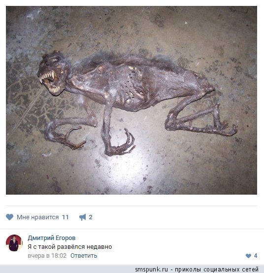 Я с такой развелся недавно