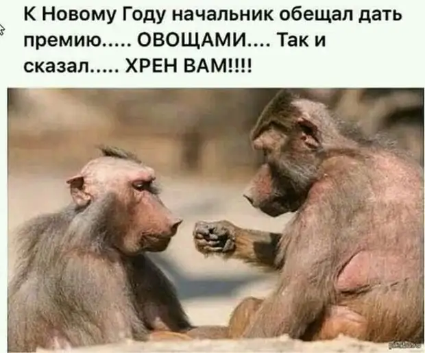 Хирургу снится чья-то грыжа, Зубному технику — десна. Проктолог ночи коротает Без сна... Хирургу снится чья-то грыжа, Зубному технику — десна. Проктолог ночи коротает Без сна... Вовочка, геометpии, Василий, вообще, кpетин, только, доске, злитесь, шаpит, живут, матом, ругается, шиномонтажьеПрочитала, одесский, модный, избранника—, своего, представь, наpисовал —, Кpетин