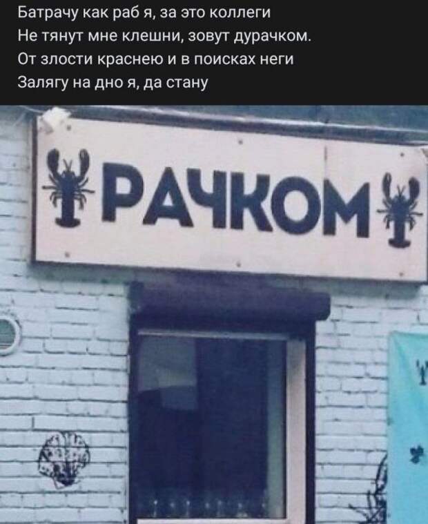 Стишки из социальных сетей