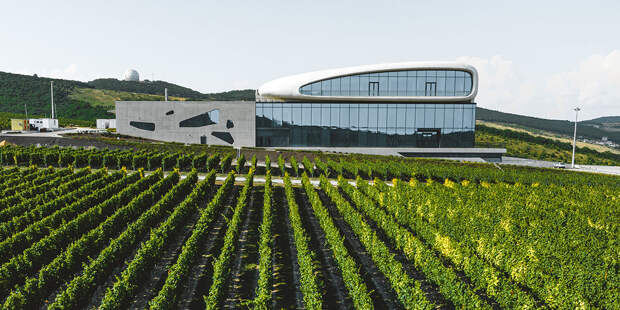 Стальная выдержка: 7 знаковых винных хозяйств Краснодарского края