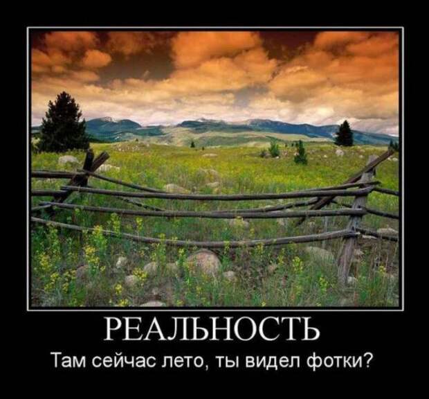Подборка классных демотиваторов № 103
