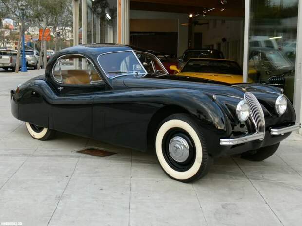 cars_004.jpg
