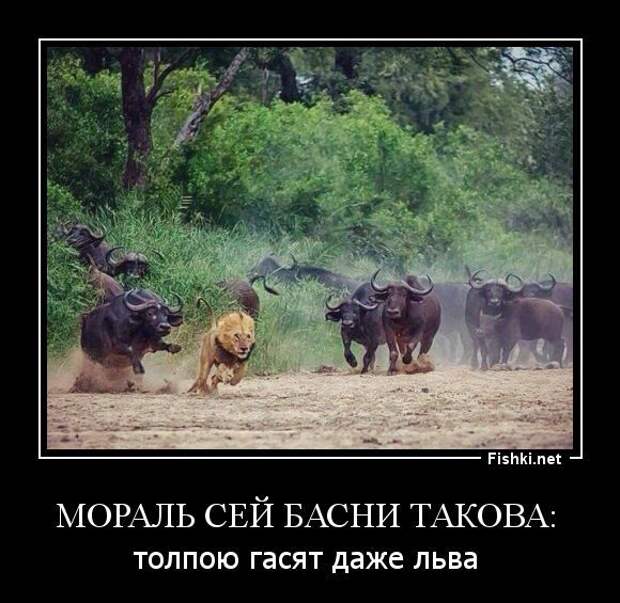 Демотиваторы смех, демотиваторы, прикол, юмор