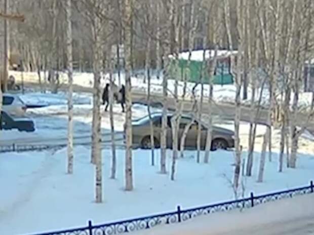 Вступился за сына и получил тесаком: причиной нападения в Мирном считают ксенофобию