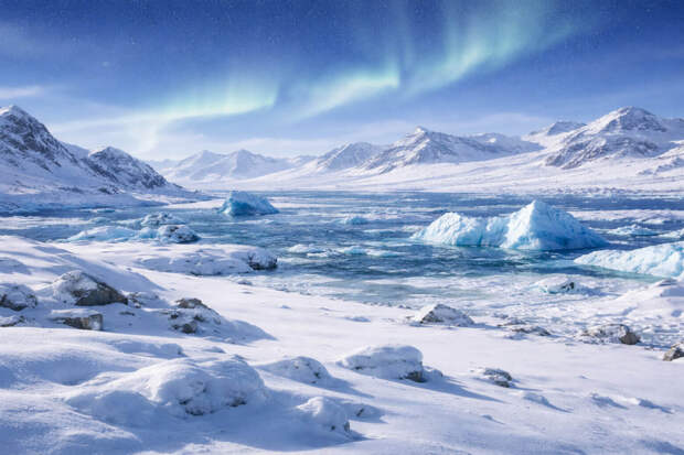 Океан звенит необычными звуками, которые настораживают учёных