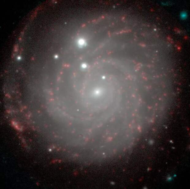 Фото: Алексей Моисеев и Елена Барсукова / Галактика NGC 3344. Расположена в созвездии Малого Льва и удалена от нас на 28 миллионов световых лет. Снимок БТА