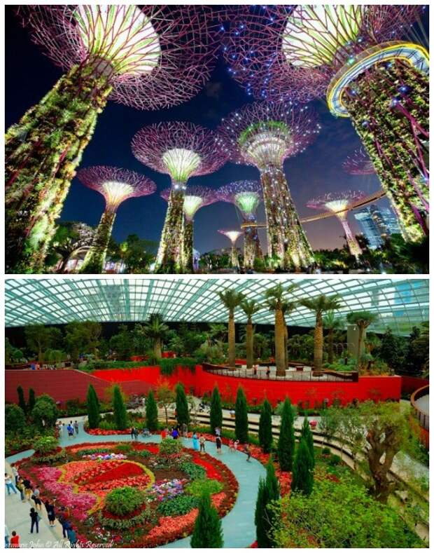 Самый фантастический сад мира (Singapore Botanic Gardens). | Фото: artinheart.ru.