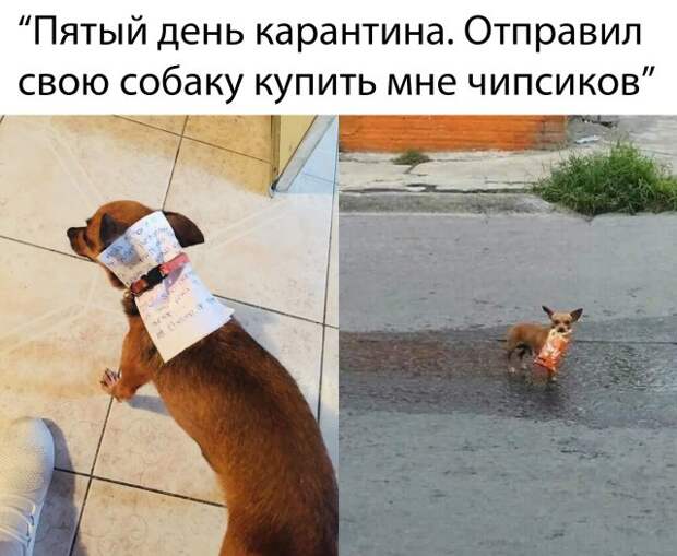 www.vsyako.net