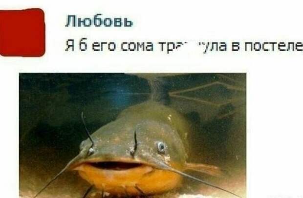 Тот случай, когда плохое образование одного человека, может поставить в тупик другого девушка, опечатка, ошибка, прикол, спех, фрейд, юмор
