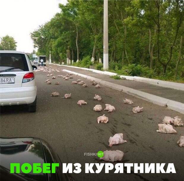 Подборка автомобильных приколов авто, автоприколы, приколы