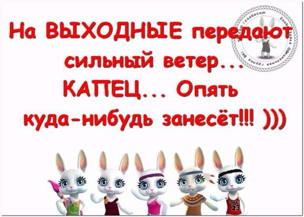Несколько иронично-милых советов и фразочек в картинках