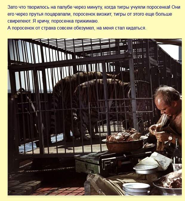 Интересные факты о фильме