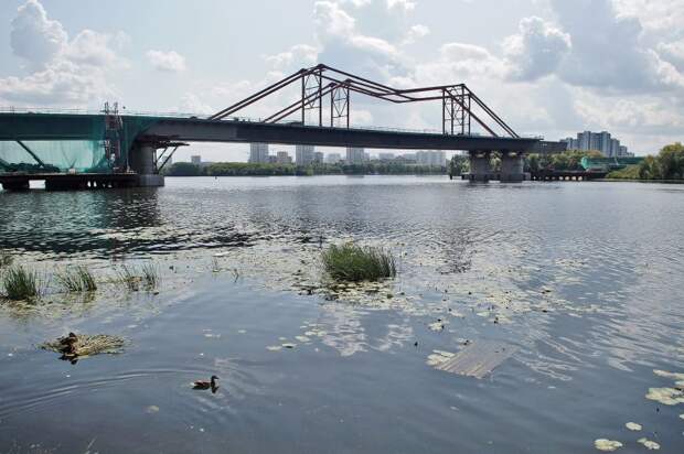 Кожуховский затон — старое русло Москвы-реки/Евгений Чесноков