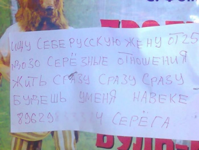 В поисках второй половинки (22 фото)