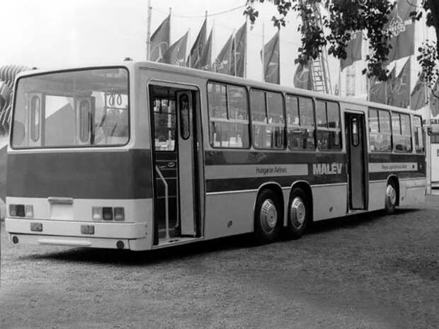 Автобусы IKARUS - экскурсия в прошлое (53 фото)