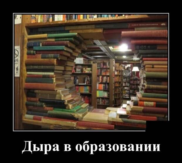 Демотиваторы (30 фото)