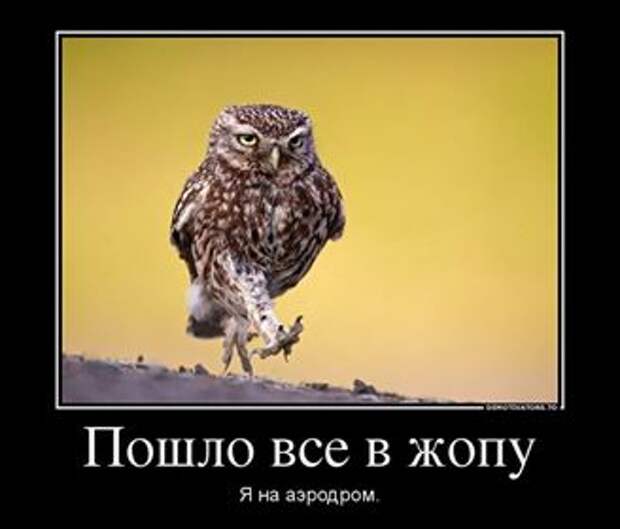 Не отстирываются пятно от кетчупа? - Иди на аэродром! Утомили соседи? - Иди на аэродром! Выпил? - за руль не садись! Иди на аэродром! Скажи мне, кто твой друг и оба на аэродром. Хотел как лучше? - иди на аэродром Ученье свет - иди на аэродром Не знаешь что делать - иди на аэродром. Назвался груздем? - иди на аэродром Семь раз отмерь и тащи на аэродром.