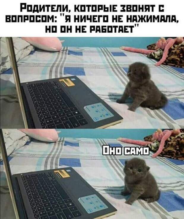 10-10.jpg