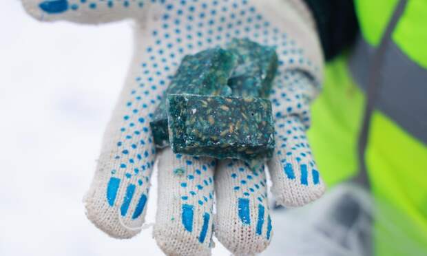 В Архангельске продолжают борьбу с грызунами