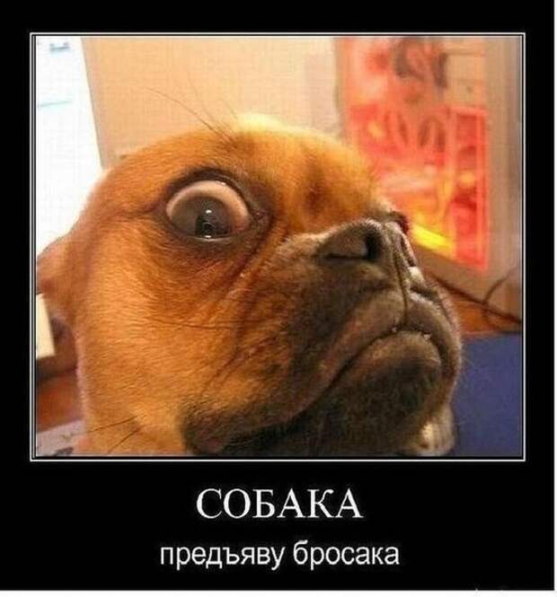 Всяко - разно 14 ))) Всяко - разно 14 )))