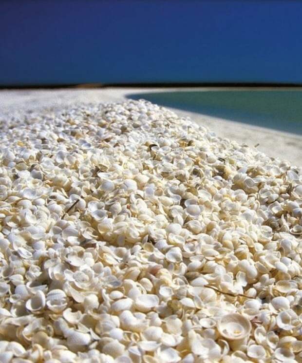 Shell beach. Пляж Шелл Бич Австралия. Белый песчаный пляж. Хризолитовый пляж. Евпатория пляжи с белым песком фото.