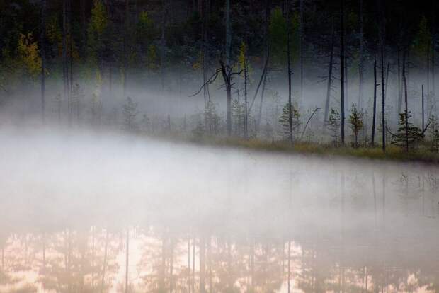 Туманные фотографии республики Карелии