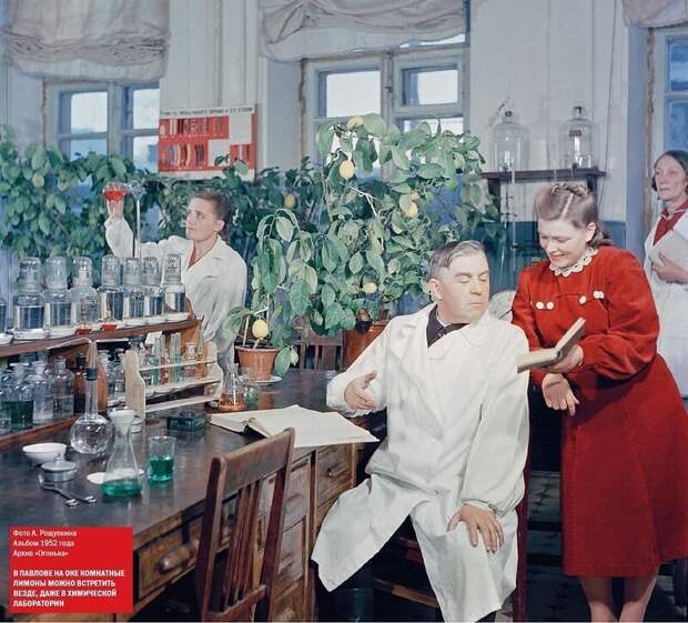 Последний сталинский год, 1952-й, в цвете 1950-е, 20 век в цвете, Ростовская область, СССР в фото
