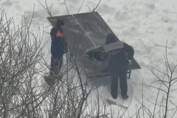 Коммунальщики из Москвы провели необычную очистку от снега