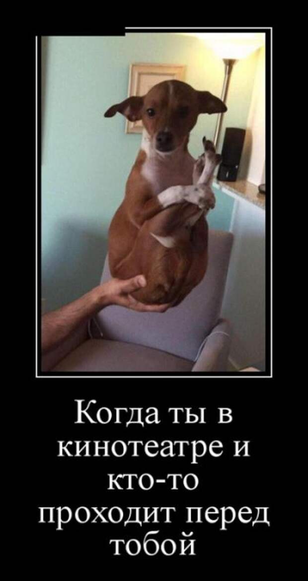 Демотиваторы (30 фото)