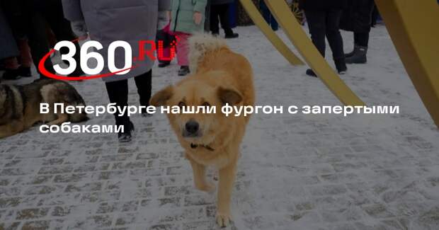 Мужчина бросил собак в фургоне на морозе по дороге на дачу в Петербурге