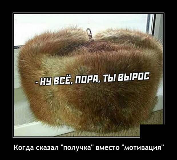 Демотиваторы 27 декабря 2021 года