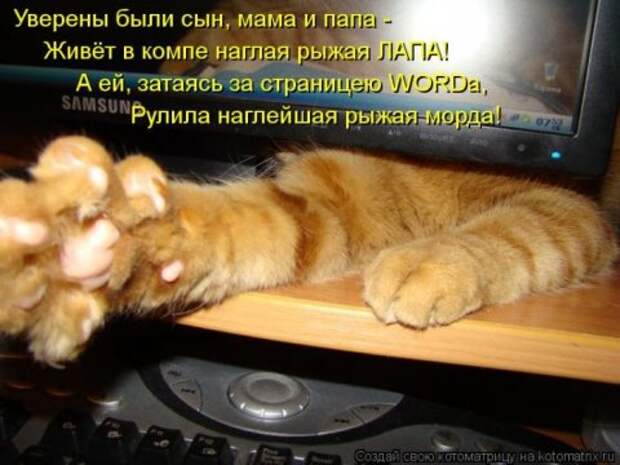 Котоматрицы