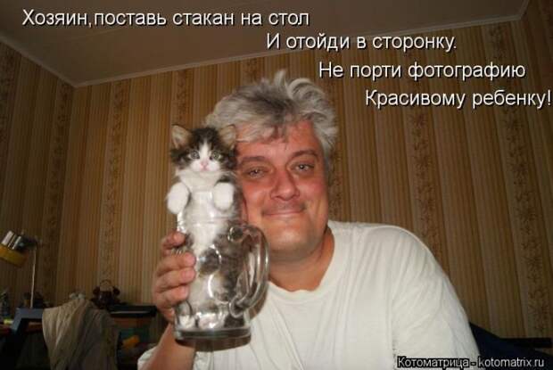 Лучшие котоматрицы за неделю