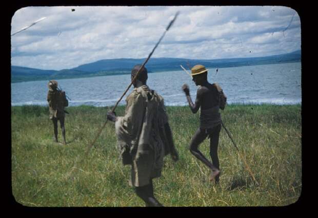 Эфиопские парни идут на охоту с длинными самодельными копьями.