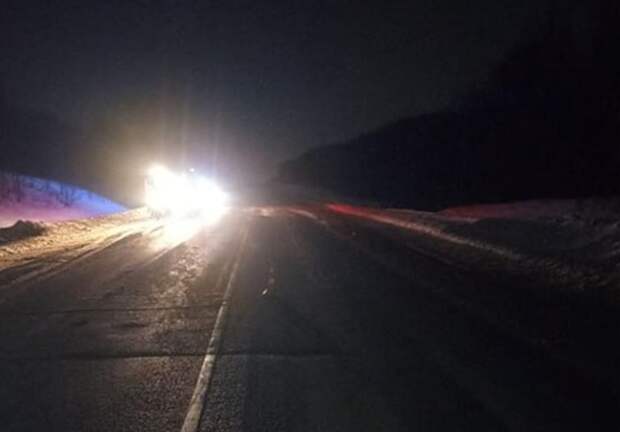 Водитель иномарки насмерть сбил лося под Самарой и попал в больницу