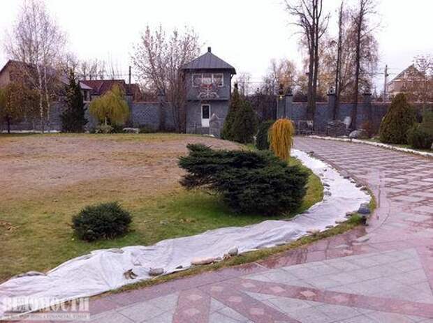 Домик Владимира Брынцалова