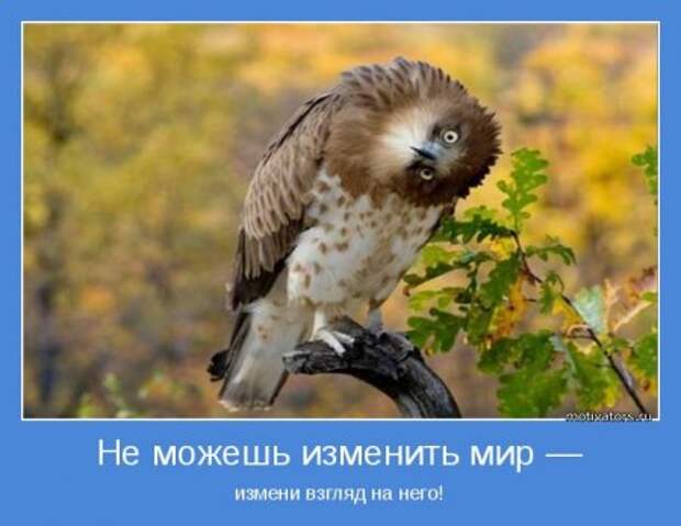 Создаём вокруг себя атмосферу. Мотиваторы.