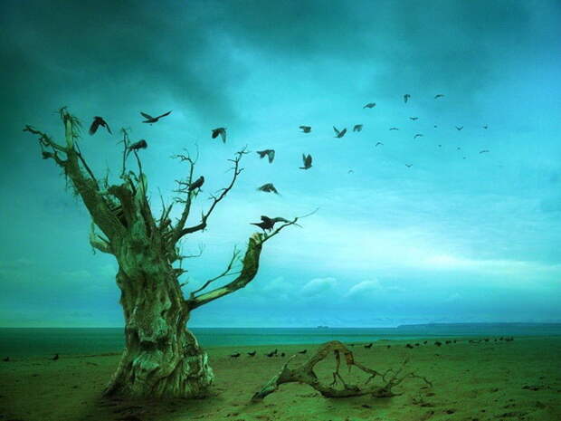 Задумчивые иллюстрации Alex Andreyev Задумчивые иллюстрации Alex Andreyev
