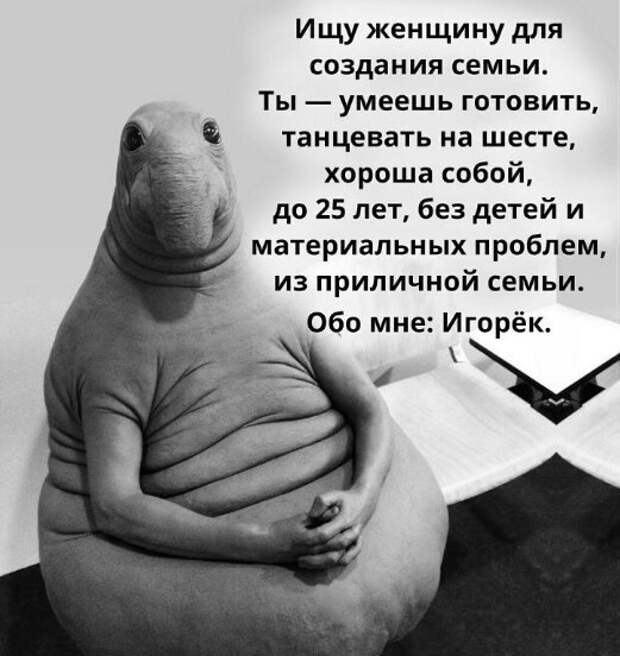 3487914_a2XpPfXa5kI (521x552, 58Kb)