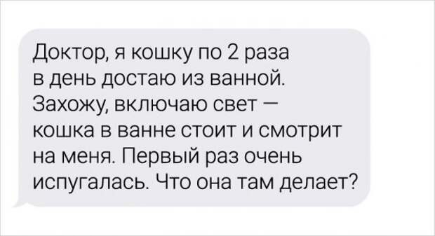 Девушка-ветеринар поделилась забавными переписками с ее клиентами
