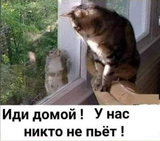 Очень угарные картинки и мемы