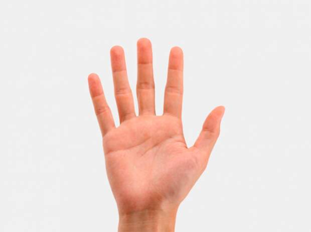 0-620x462