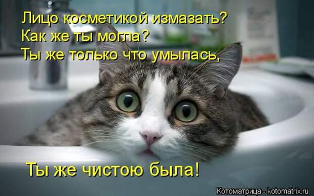 Лучшие котоматрицы недели (50 фото) Лучшие котоматрицы недели (50 фото)