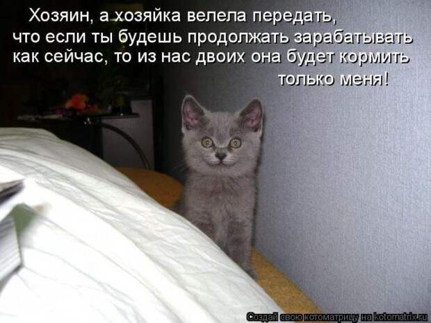 Котоматрицы :)