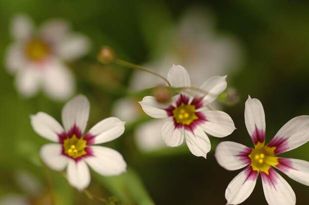 Есть только миг между прошлым и будущем... Есть только миг между прошлым и будущем...
