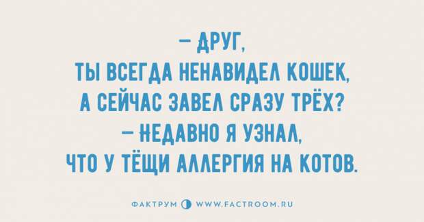 Просто замечательные анекдоты, читающиеся на одном дыхании