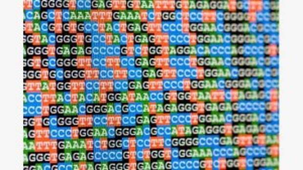 В геноме человека пересчитали число генов