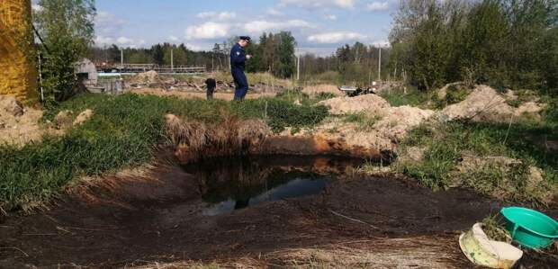 Прокуроры выяснили причину массовой гибели рыбы в озере Киржачского района