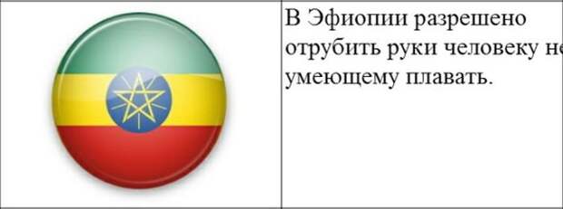 Закон всегда прав - даже если это маразм Закон всегда прав - даже если это маразм